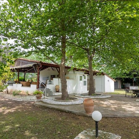 Summer Retreat In Sithonia #Feelslikehome Vourvourou Exterior foto